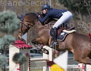 Lippi Bruni Caesar TosTour2013- S5 2297 : Arezzo, Arezzo Equestrian Centre, Caesar, Lippi Bruni Rebecca, Toscana Tour 2013, foto di Stefano Secchi ©